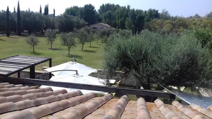 Agriturismo Lupo Cerrino タルクイーニア エクステリア 写真