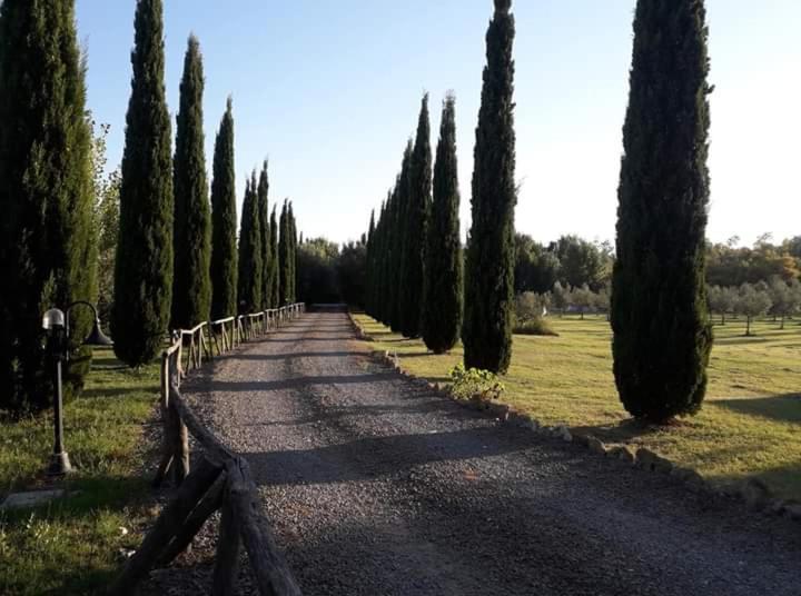 Agriturismo Lupo Cerrino タルクイーニア エクステリア 写真