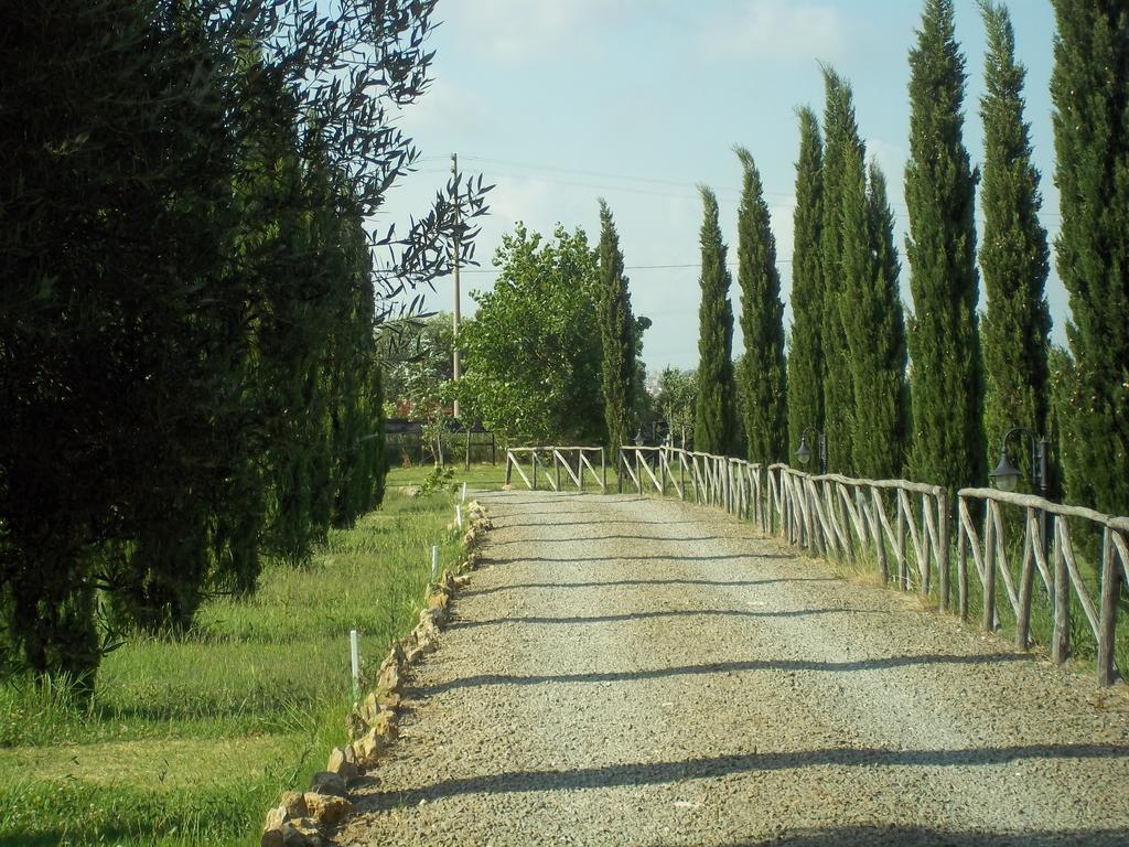 Agriturismo Lupo Cerrino タルクイーニア エクステリア 写真