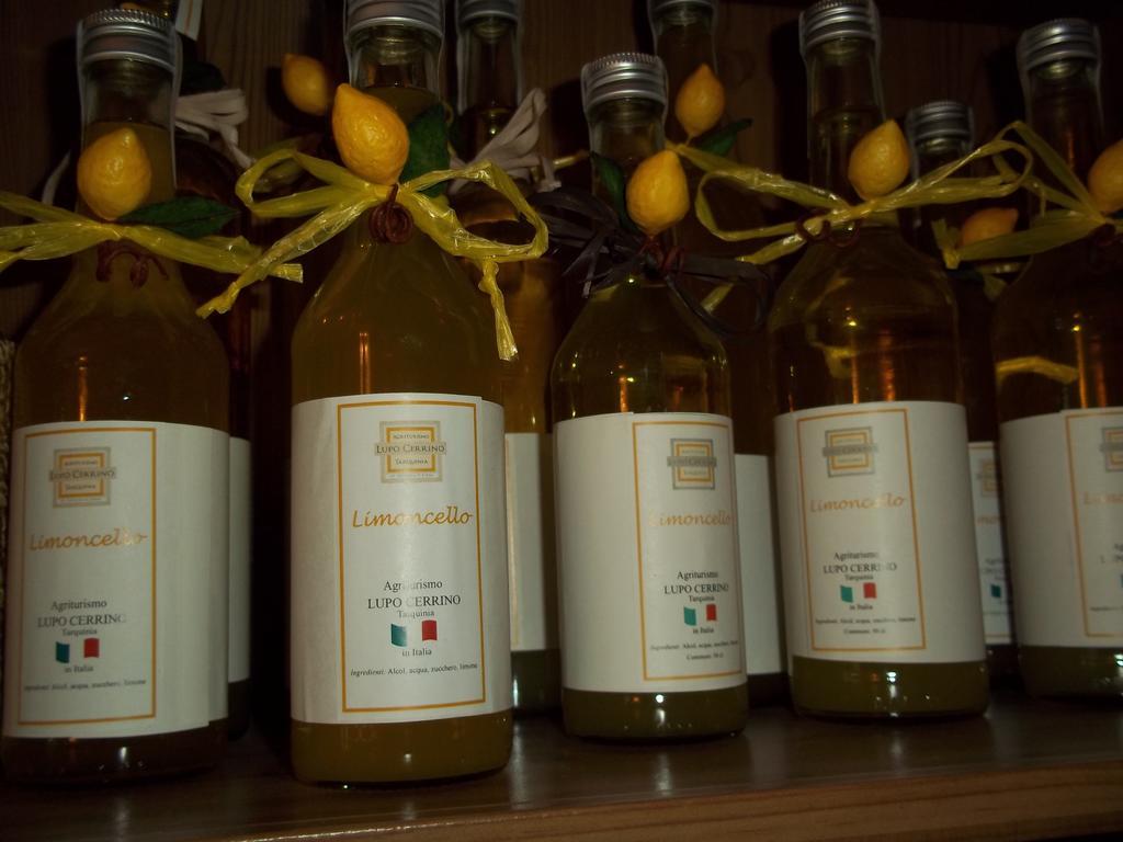 Agriturismo Lupo Cerrino タルクイーニア エクステリア 写真