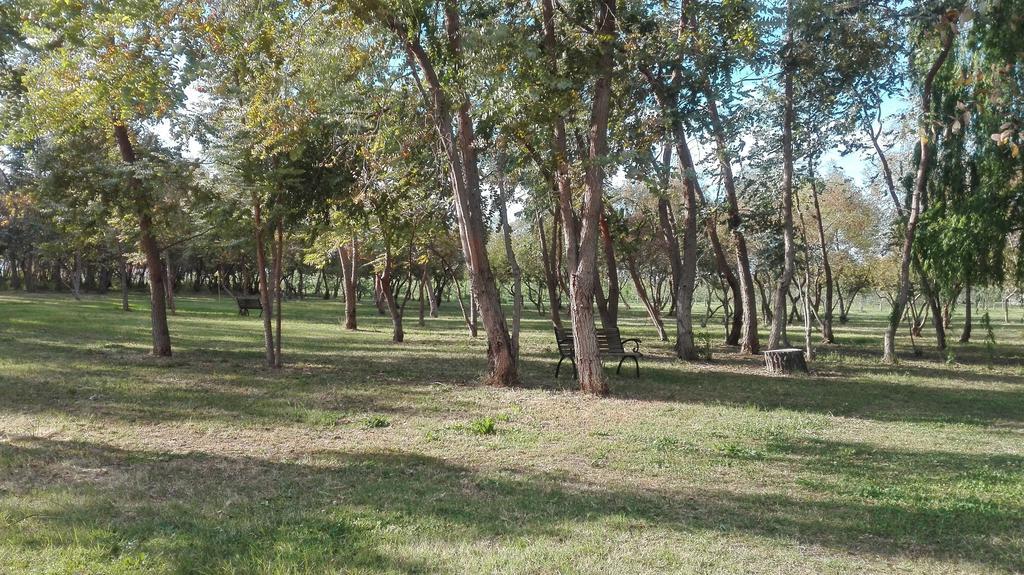 Agriturismo Lupo Cerrino タルクイーニア エクステリア 写真